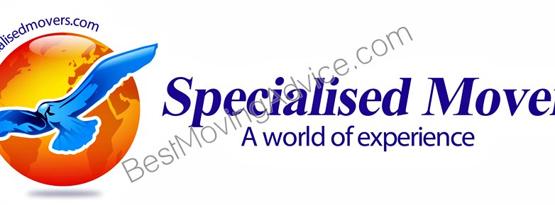 rapid eye moverment therapy