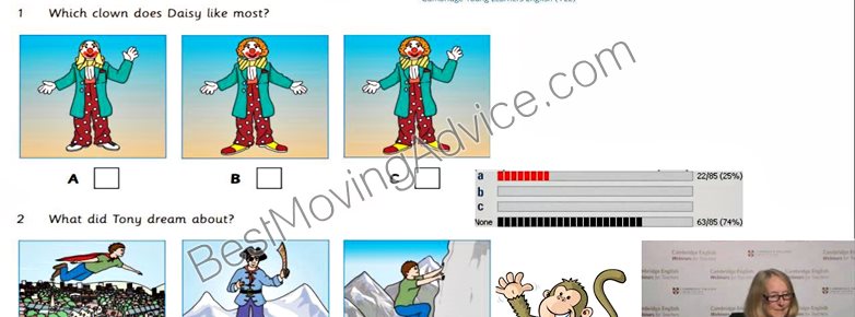 Mountain movers in amarillo tx