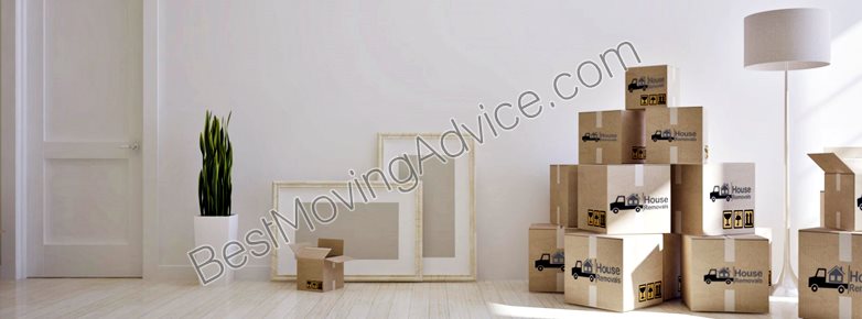 Mavel movers