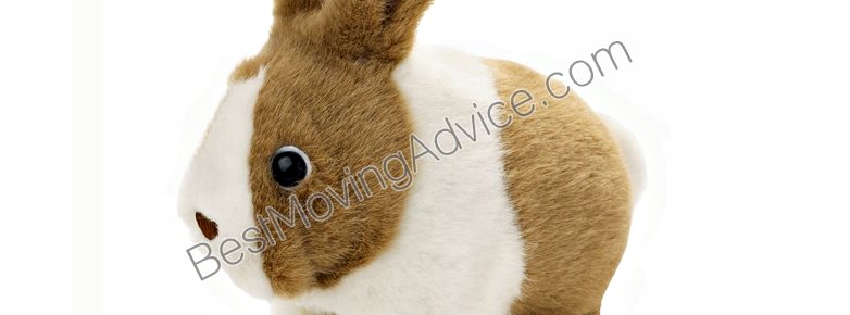 Beethoven piano movers nyc