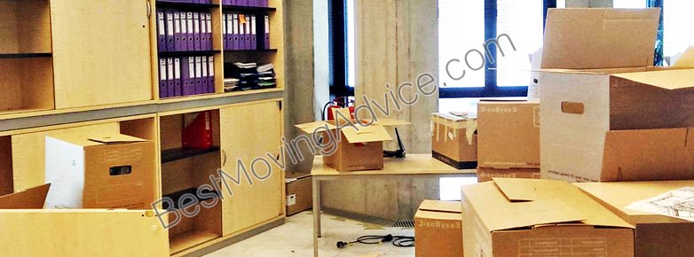 cheltenham market movers