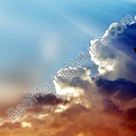 square cow movers austin email