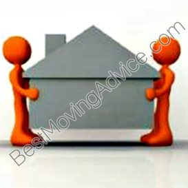 petcare movers shenzhen