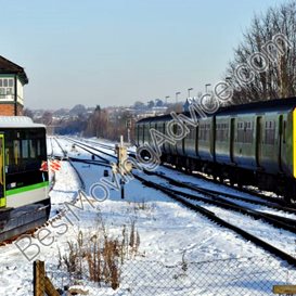 showcase movers fernandina beach