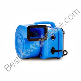 horse racing market movers australia