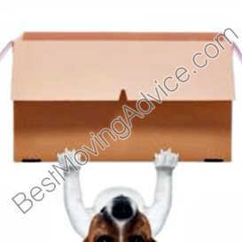 state to state movers reviews