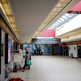 moving company worcester ma