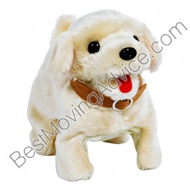 mythic movers berkeley